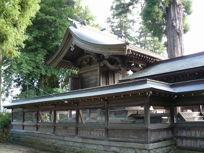 �V�Ƌʖ��_��