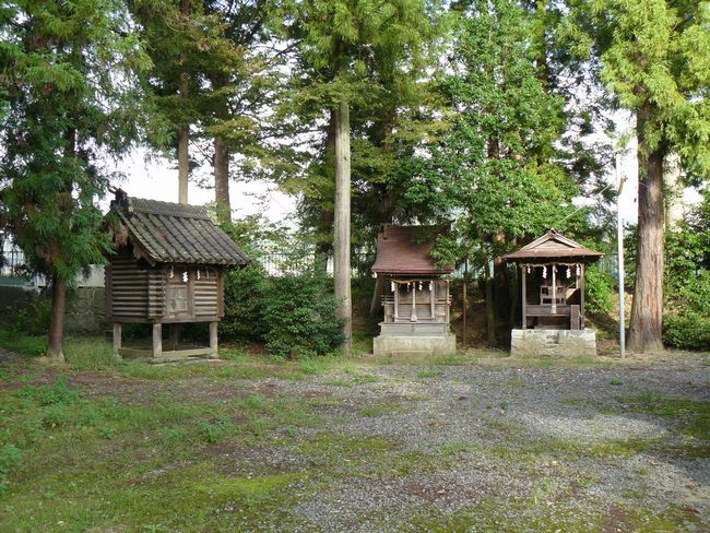 �V�Ƌʖ��_��