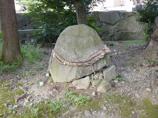 �V�Ƌʖ��_��