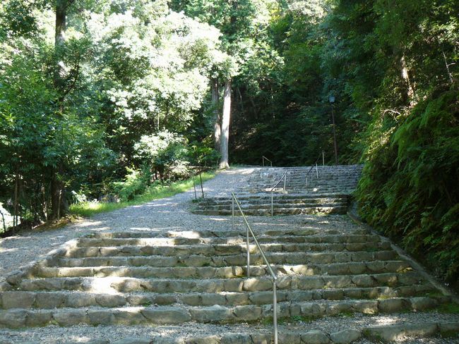 �c��_�Ёi���ɐ��_�{���{�j