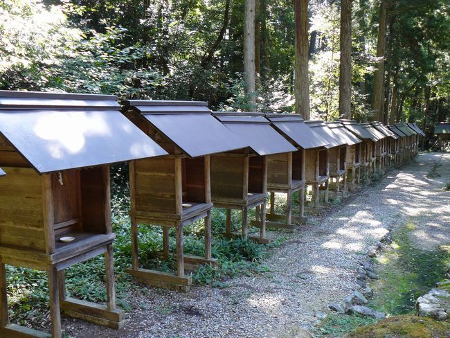 �c��_�Ёi���ɐ��_�{���{�j