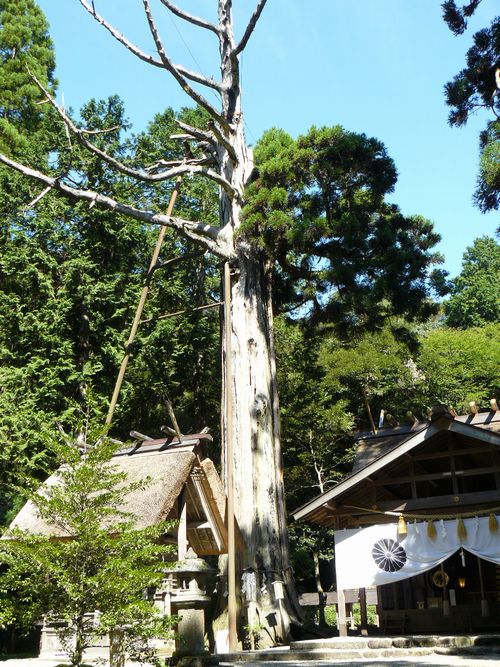 �c��_�Ёi���ɐ��_�{���{�j