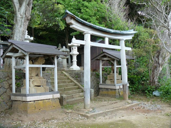 �V���_��