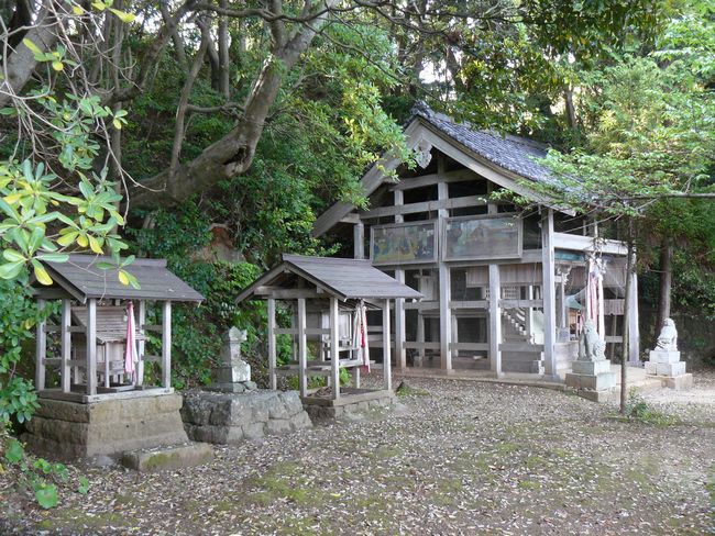 �V���_��