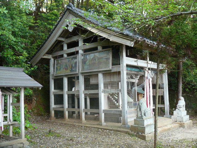 �V���_��