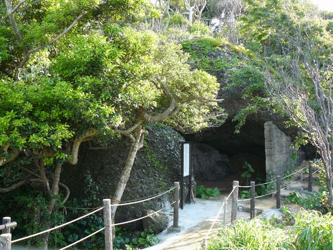 �V���_��