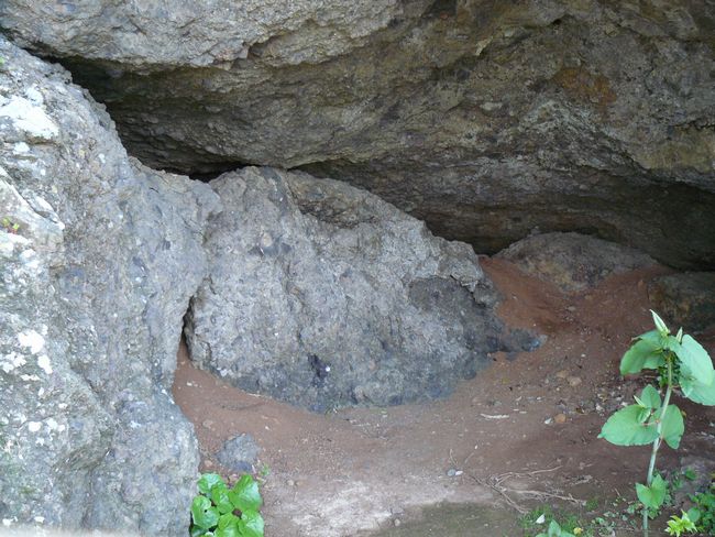 �V���_��