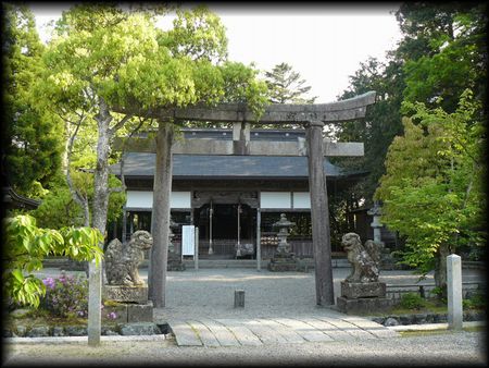 �Y���_��