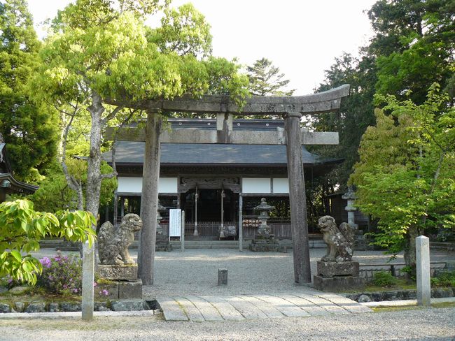 �Y���_��