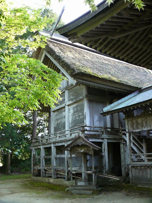 �ɍ����E�Y���_��