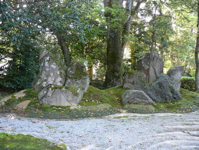 �Y���_��