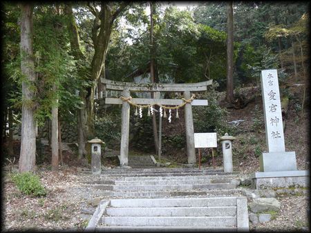 �����_��