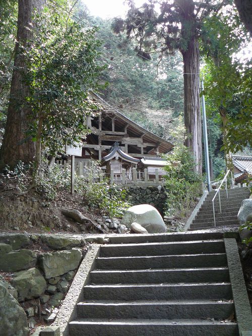 �����_��