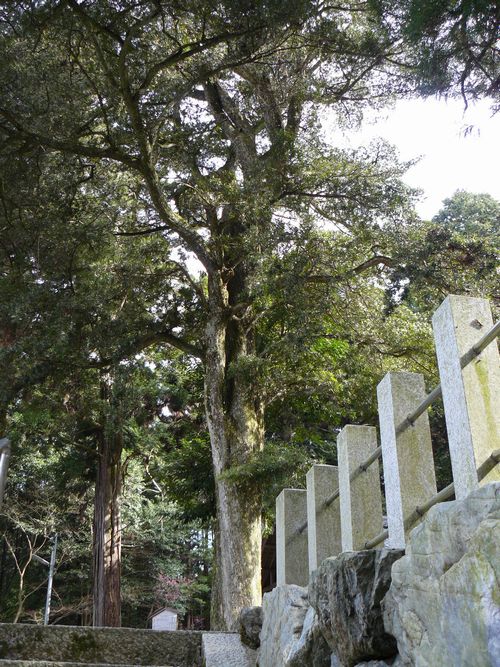 �����_��