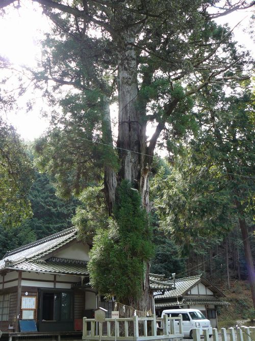 �����_��