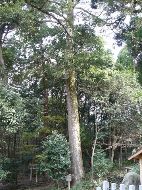 �����_��