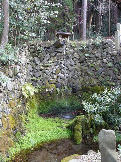 �����_��