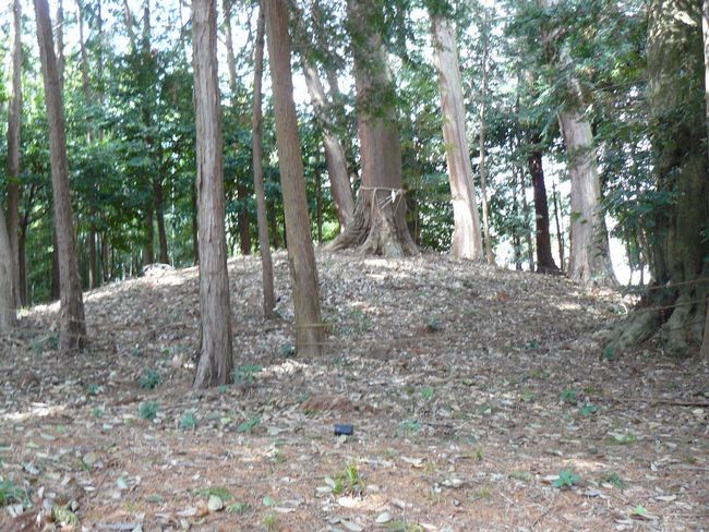 �Ђ��c��_��