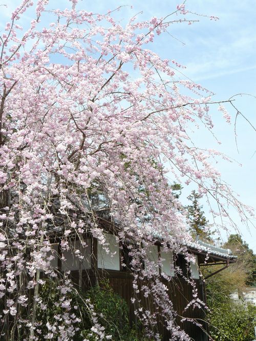 �Ђ��c��_��