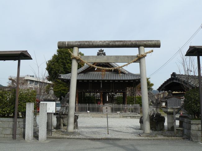 �`���_��