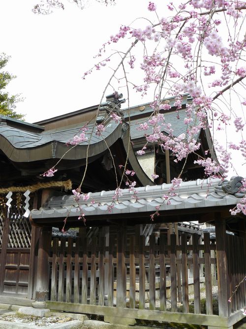 �`���_��