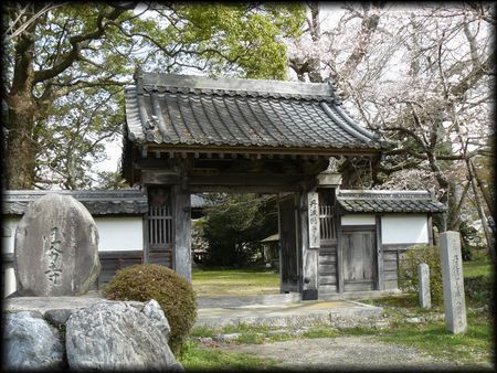 �O�g������