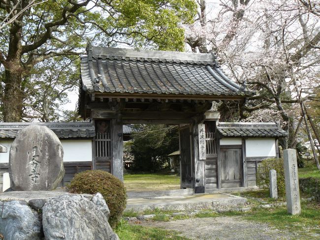 �O�g������