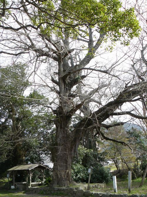 �O�g������