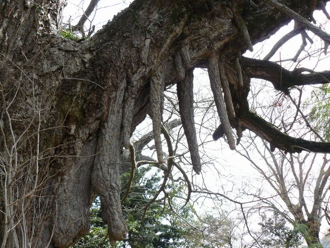 �O�g������