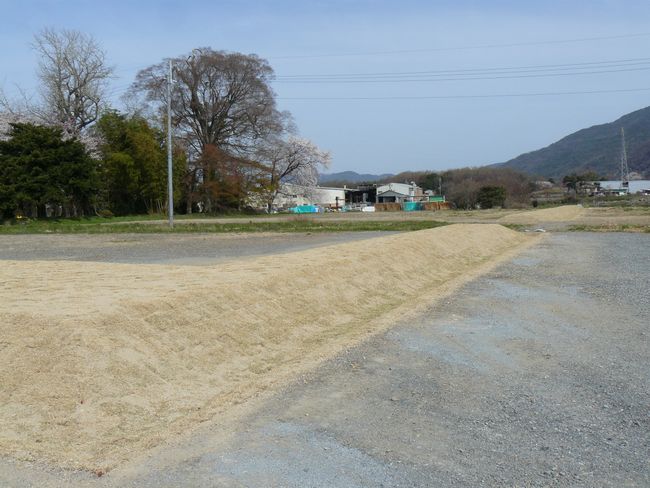 �O�g������