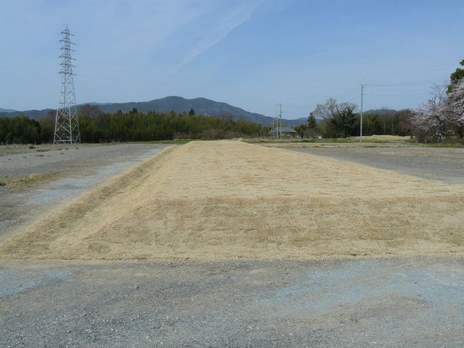 �O�g������