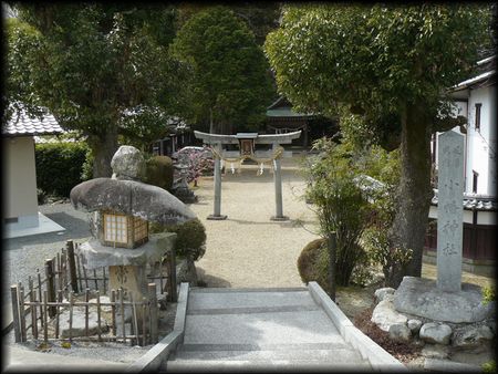 �����_��