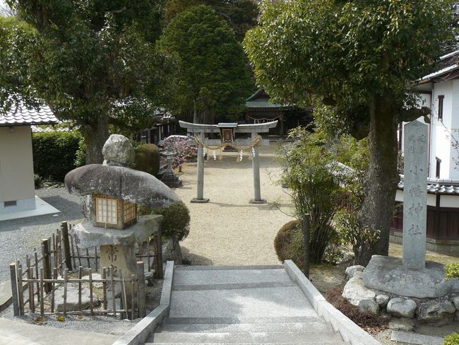 �����_��