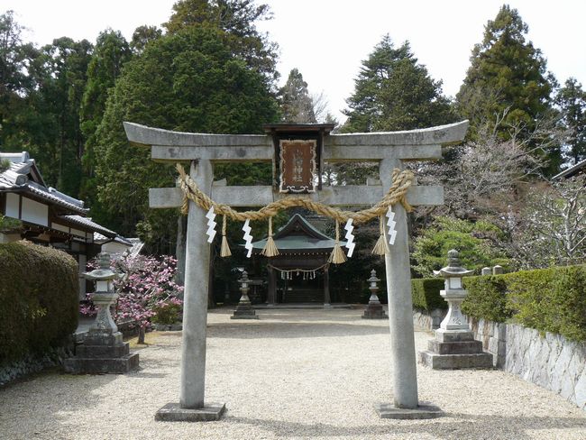 �����_��