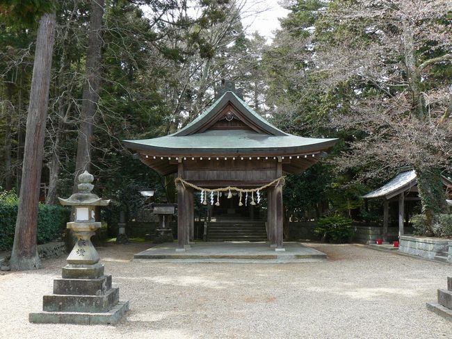 �����_��