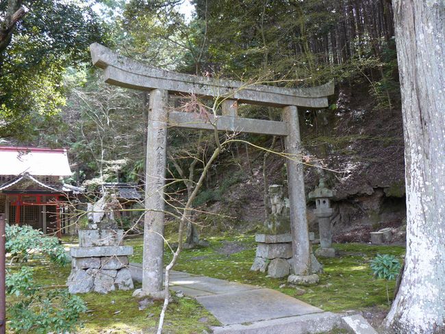 ���V���{