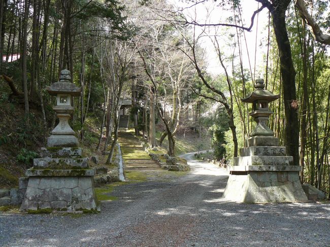 ���V���{