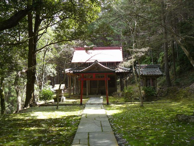 ���V���{