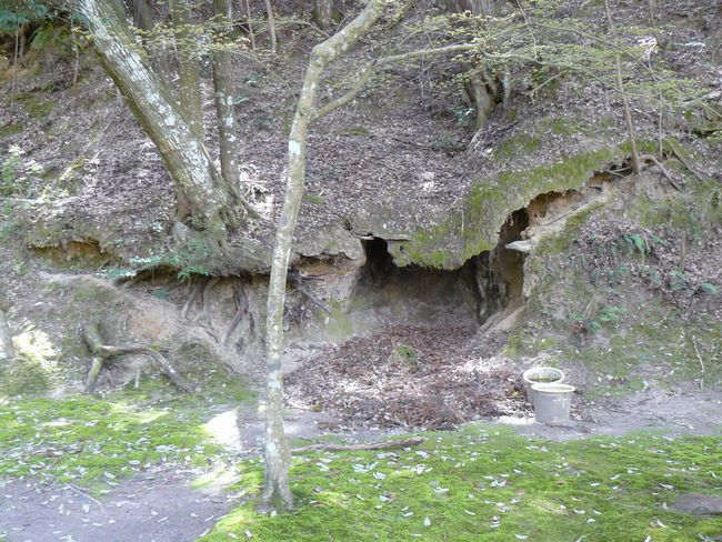 ���V���{