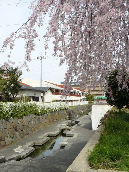 �Ð��e������