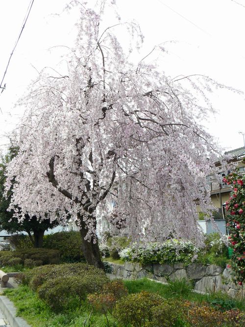 �Ð��e������