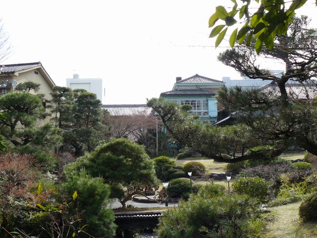 �c�������Y���@