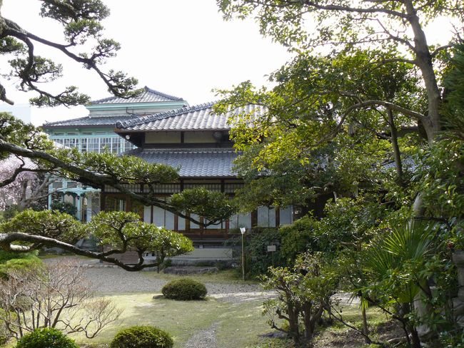 �c�������Y���@