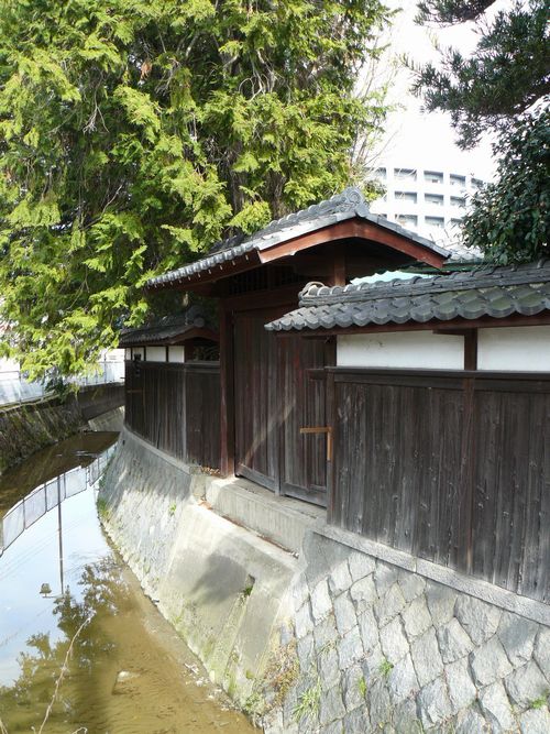 �c�������Y���@