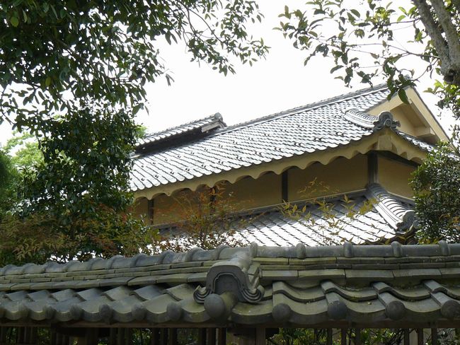 �s�i�ƏZ��