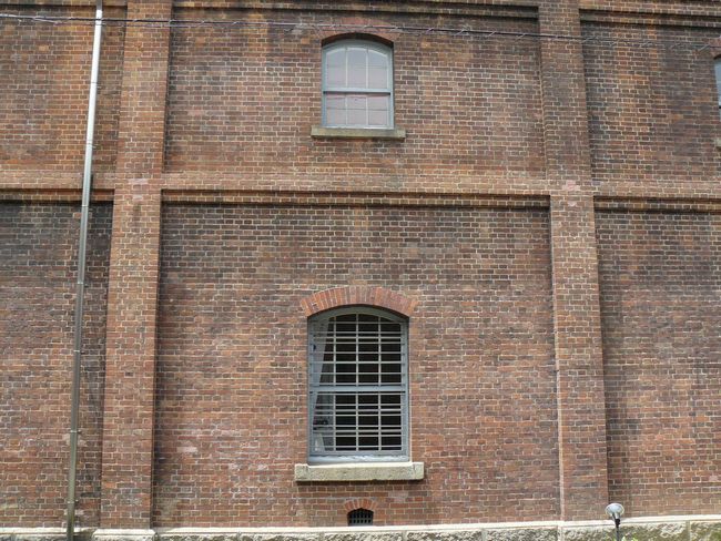 �ԗ����q�ɌQ