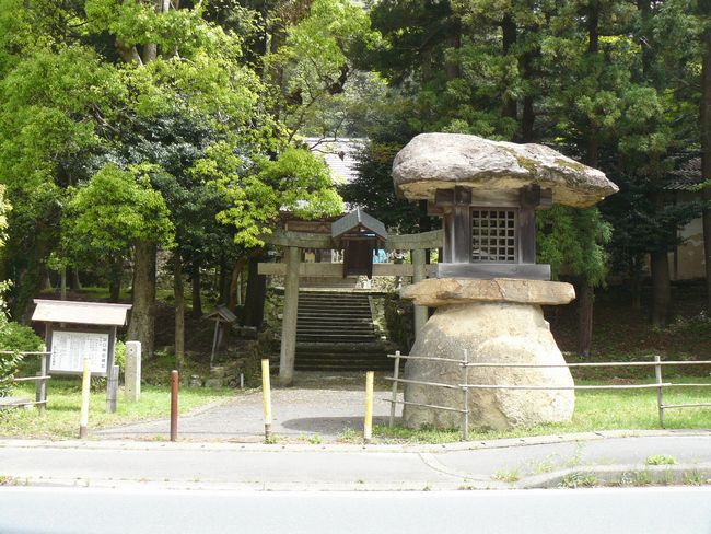 �c���_��