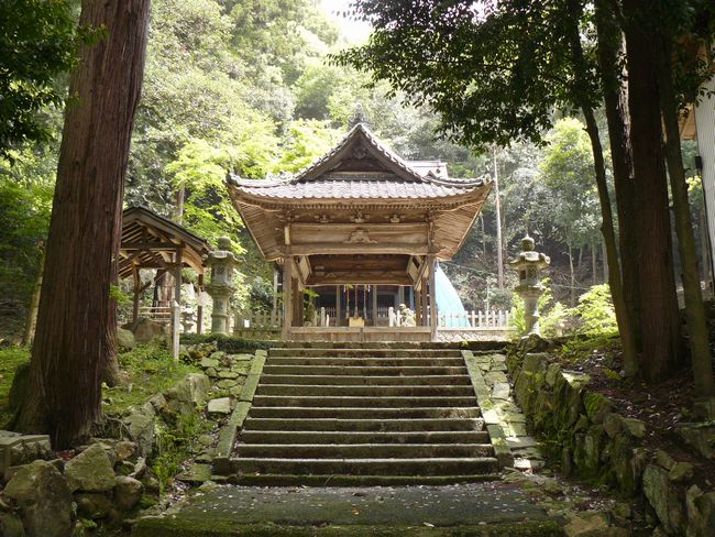 �c���_��