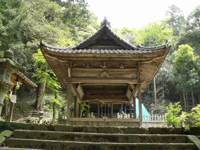 �c���_��