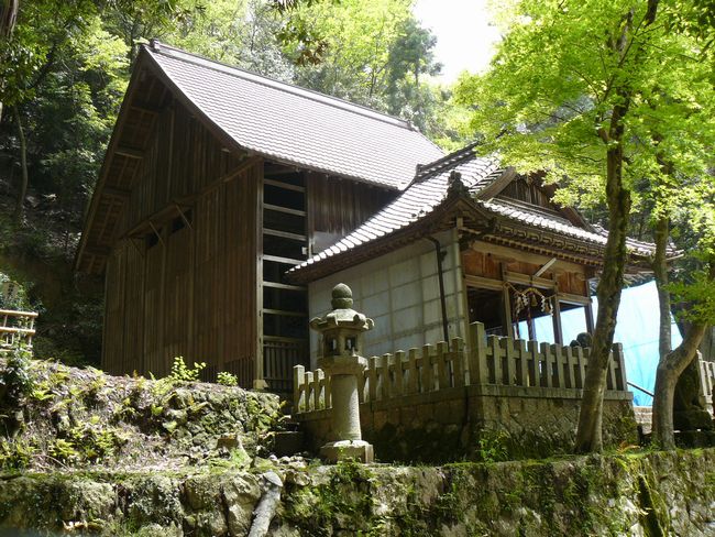 �c���_��